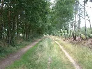 Castleman Trailway