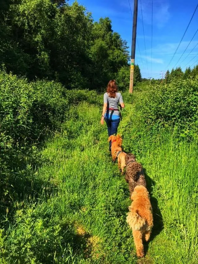 follow the leader