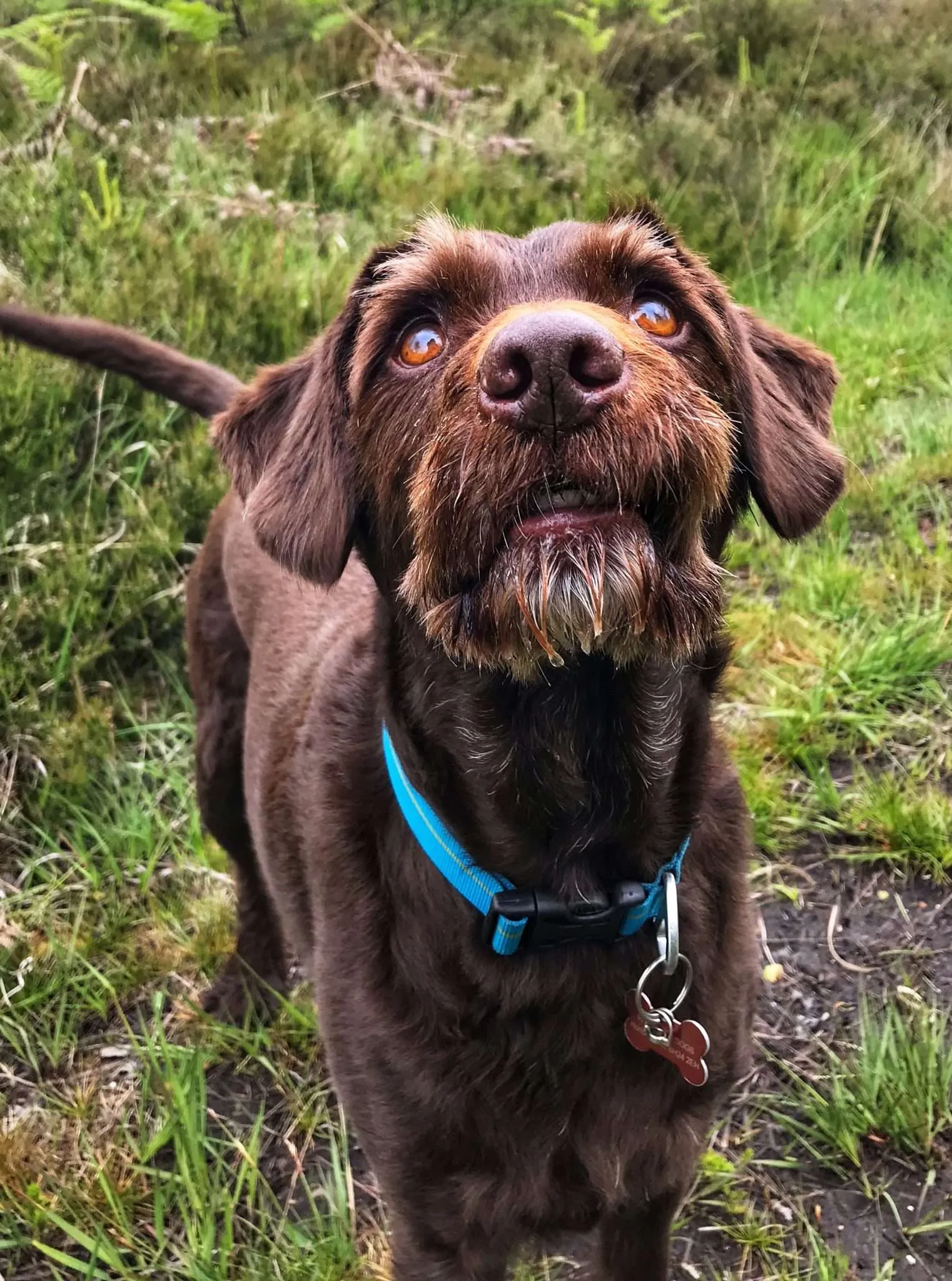 Set yourself up for Success