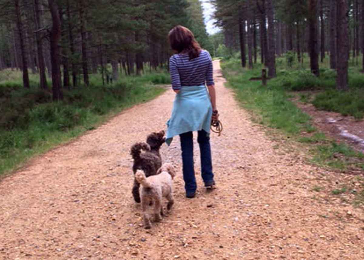 Secrets of a Dog Trainer