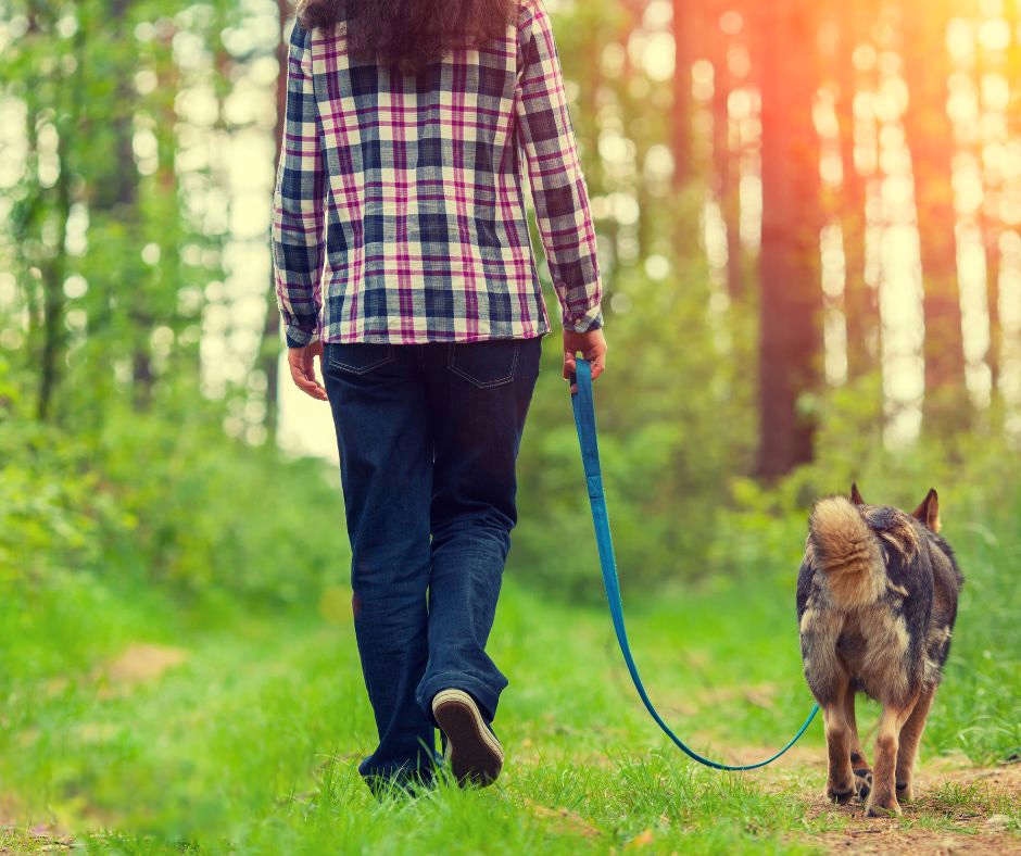 Slow Down Your Walks